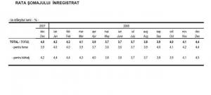 Referat Stiinte Politice Somajul In Romania 2000 2008 Referat